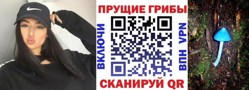 Псилоцибиновые грибы Psilocybe  сайты даркнета как зайти  Инсар 