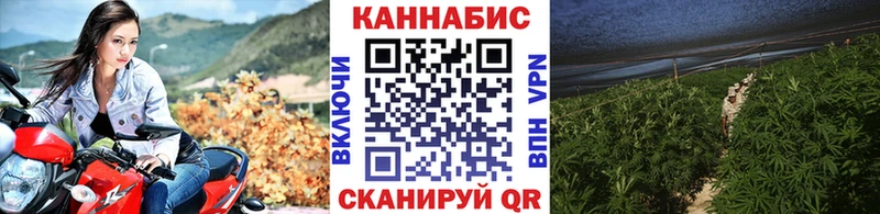 цены наркотик  Инсар  Бошки марихуана планчик 